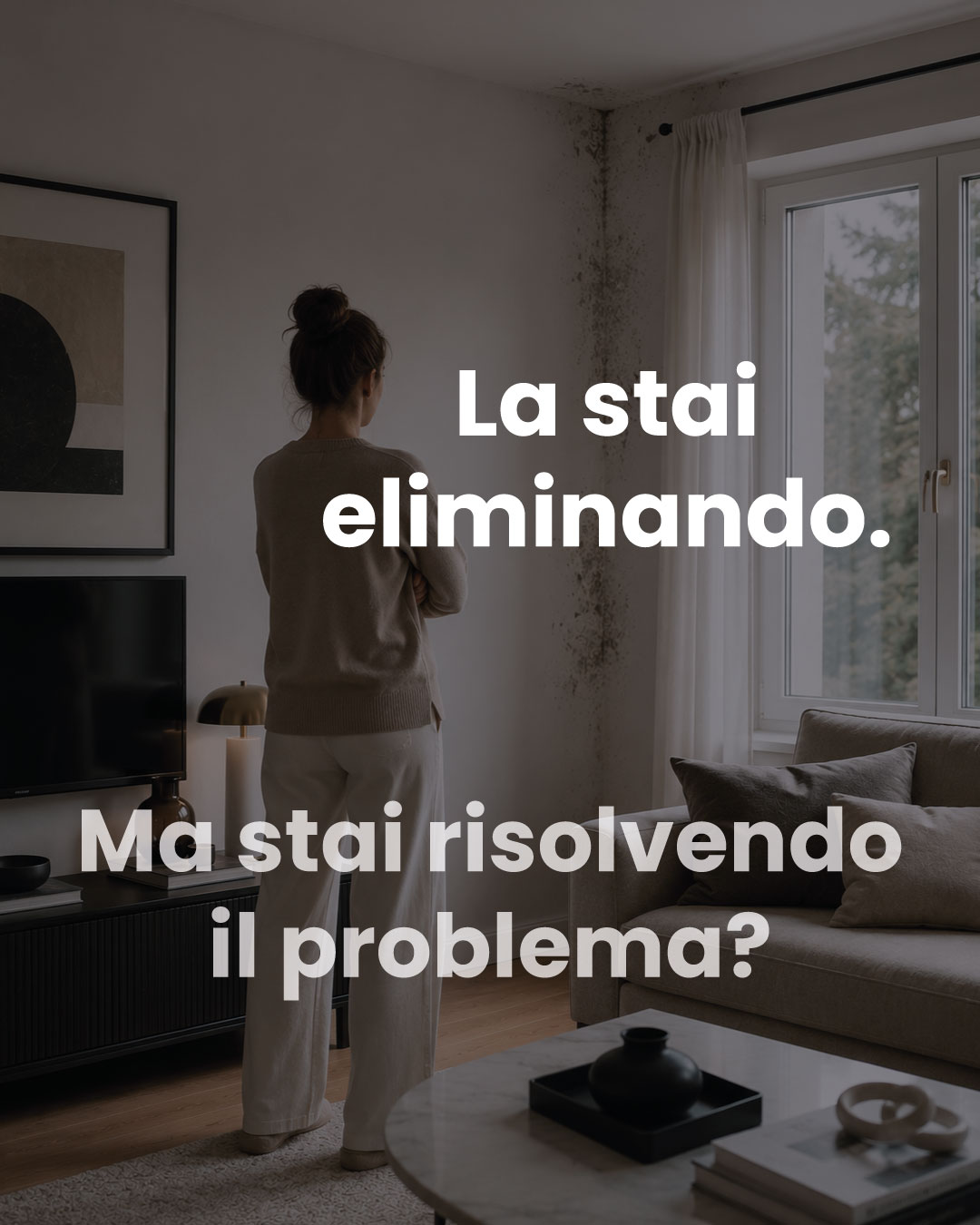 muffa-e-isolamento